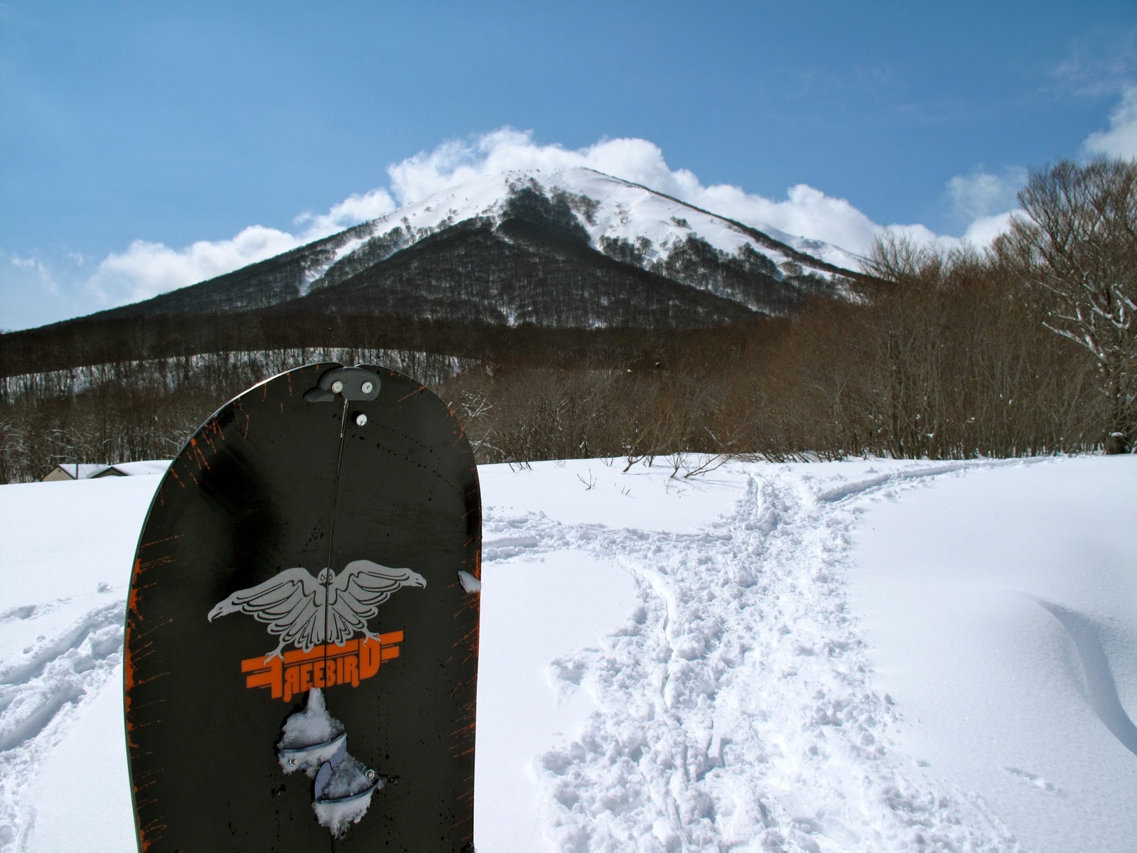 BoarderSan Burton Freebird Splitboard day.