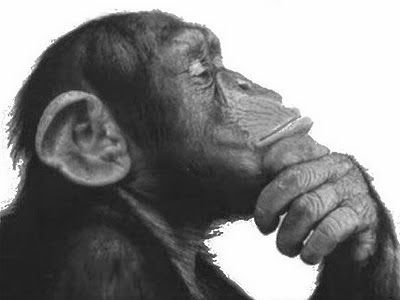 תמונה קשורה