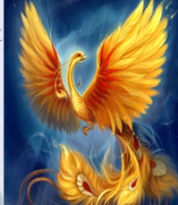 Ave Fenix