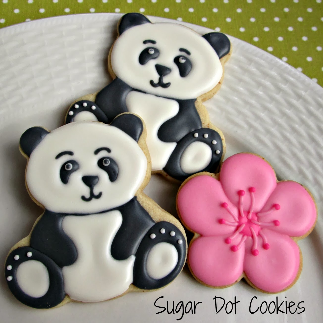 Is there anything more beautiful than cherry blossoms in DC? I think not.