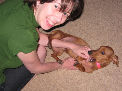 Tammy, Kristen, dog, miniature dachshund