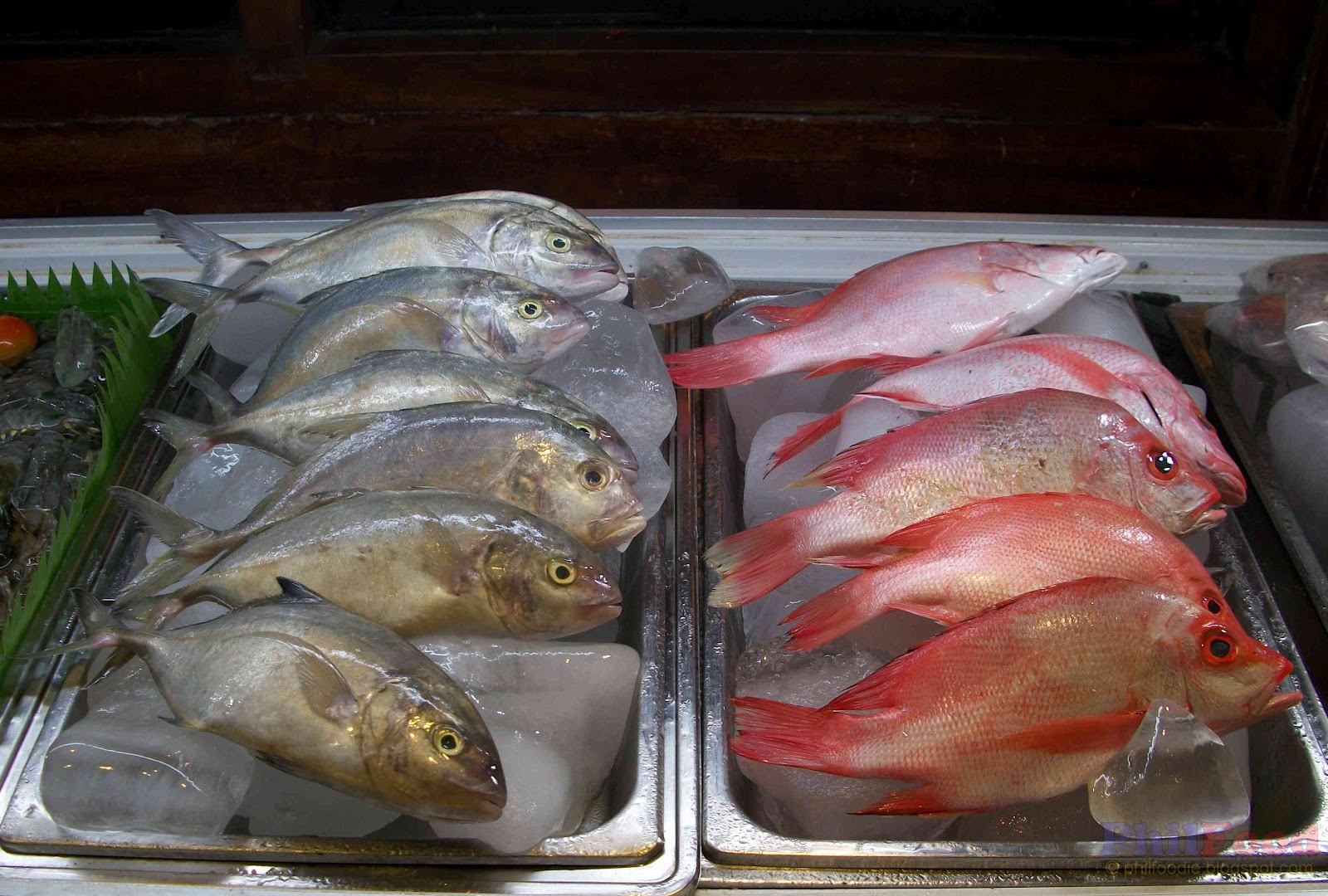 Philippine Food: Philippine Fish Species List Of Common, 40% OFF