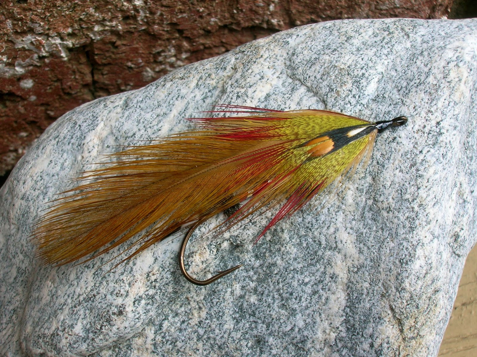 Small Stream Reflections Brown Trout