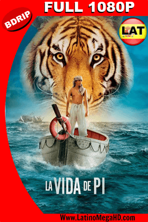 La Vida De Pi: Una Aventura Extraordinaria (2012) Latino Full HD BDRIP 1080p (2012)