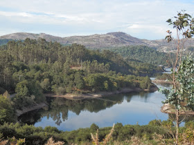 by E.V.Pita.... Spain, amazing rain forest in River Barragan (Pazos de Borben) / Por E.V.Pita.... Sorprendente bosque del río Barragan (Galicia, Pazos de Borbén y Fornelos de Montes) / A fraga do Barragán