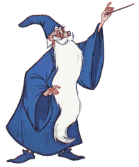 Crazy old wizard Crazy old wizard