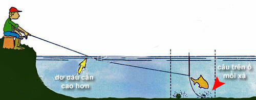 Các thao tác cơ bản khi câu waggler Các thao tác cơ bản khi câu waggler
