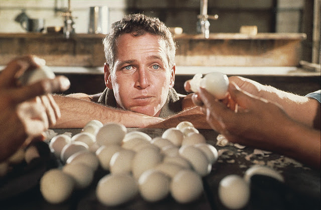 Newman+and+fifty+eggs.jpg