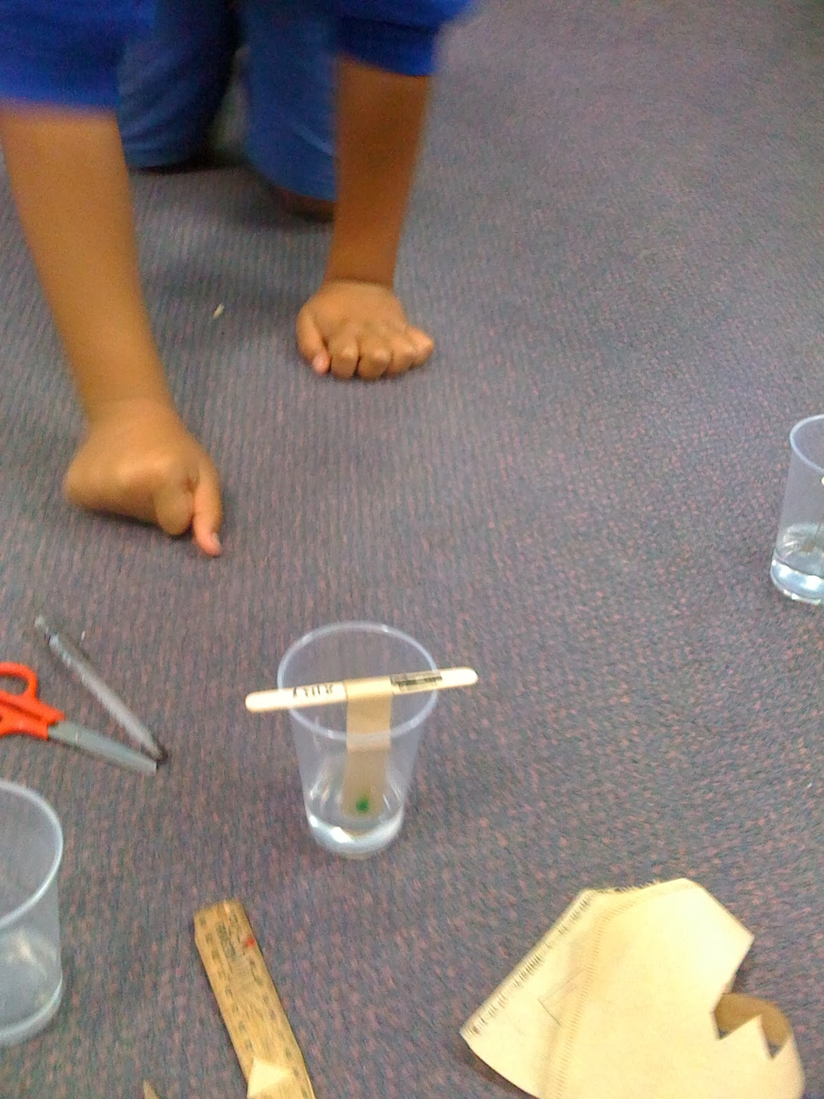 Creative Critters Forensic Science Chromatography