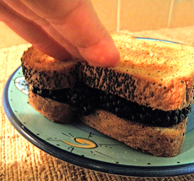 Fingertips smushing sandwich together so berries bulge out