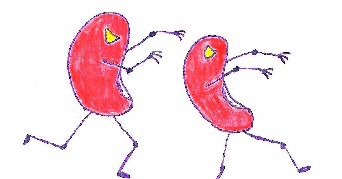 Once Upon an Equine Attack of the Killer Kidney Beans