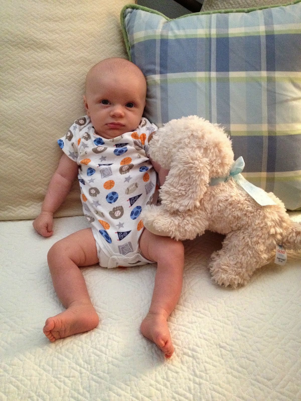 Campbell at 2 months