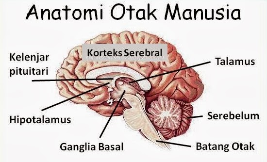 BIOLOGY SPOT Oktober 2013