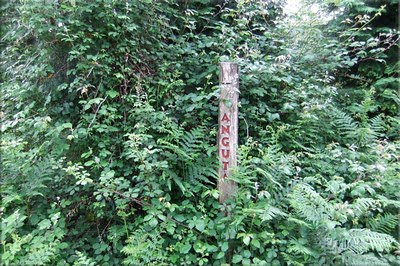 Poste semioculto por la vegetación Poste semioculto por la vegetación