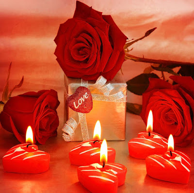 Wallpaper Rose 5k 4k wallpaper heart Valentines Day love romance  red romantic Nature 8317