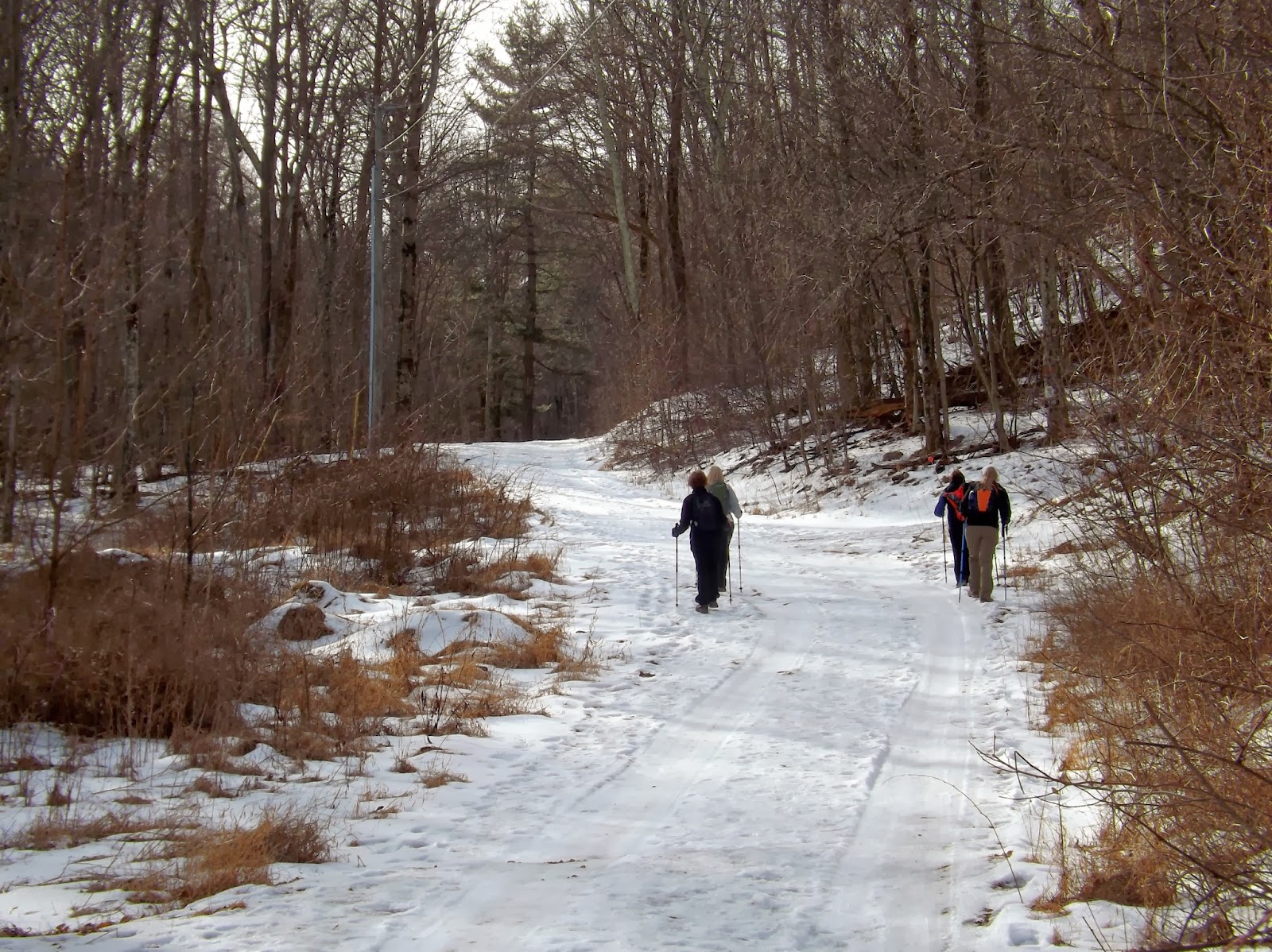 Valley Adventure Girls Hiking Guide Spy Rock And Crabtree Falls
