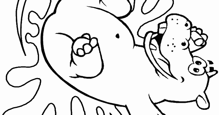 Kids Page: - Hippopotamus Animal Kids Coloring Pages