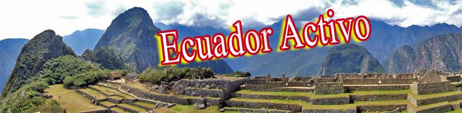 www.ecuadoractivo.com