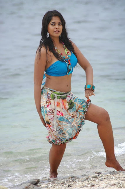 Actress Bindu Madhavi Hot Navel Show Photos