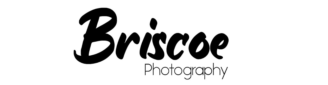Briscoe Photography Blog