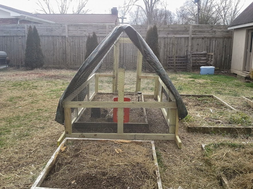 Nook & Cranny Farms Chicken / Quail Tractor