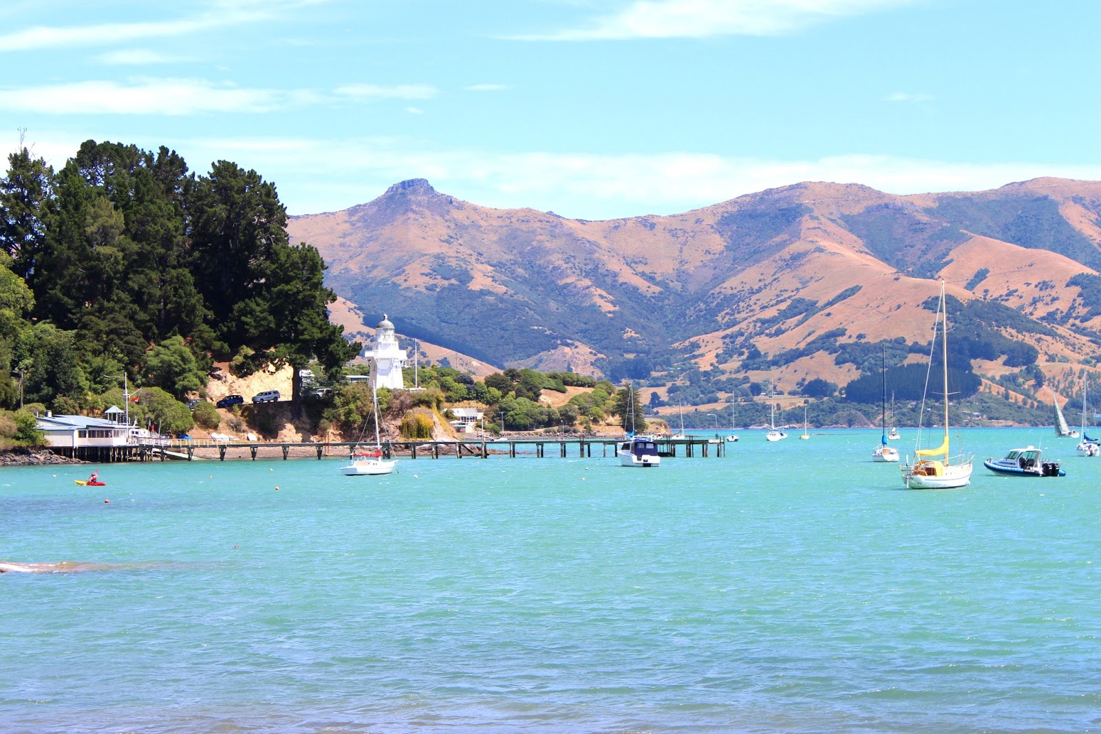 Things to do in Akaroa New Zealand Desire Empire