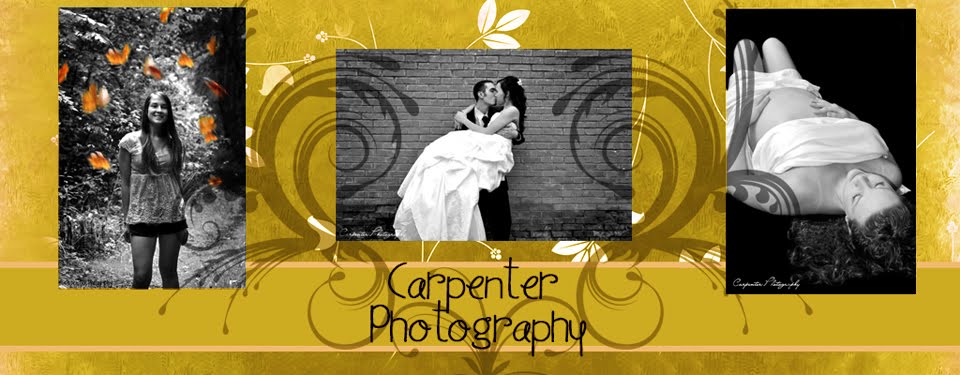 Carpenter Photography