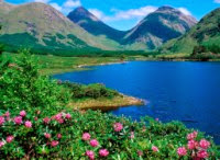 Инвестиции в ПАММ-счета. Итоги 113-й недели инвестирования