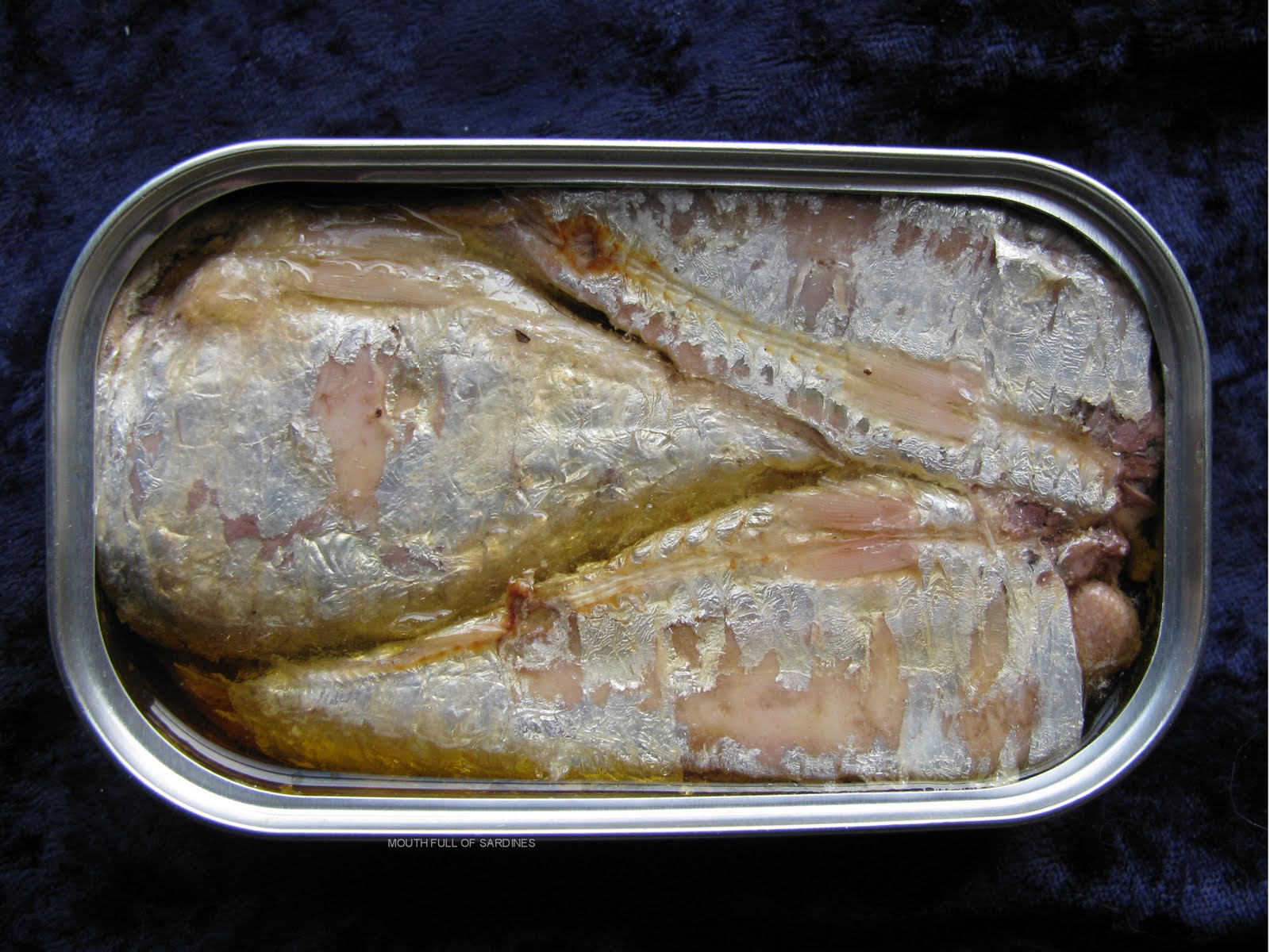 Mouth Full of Sardines GOYA 38