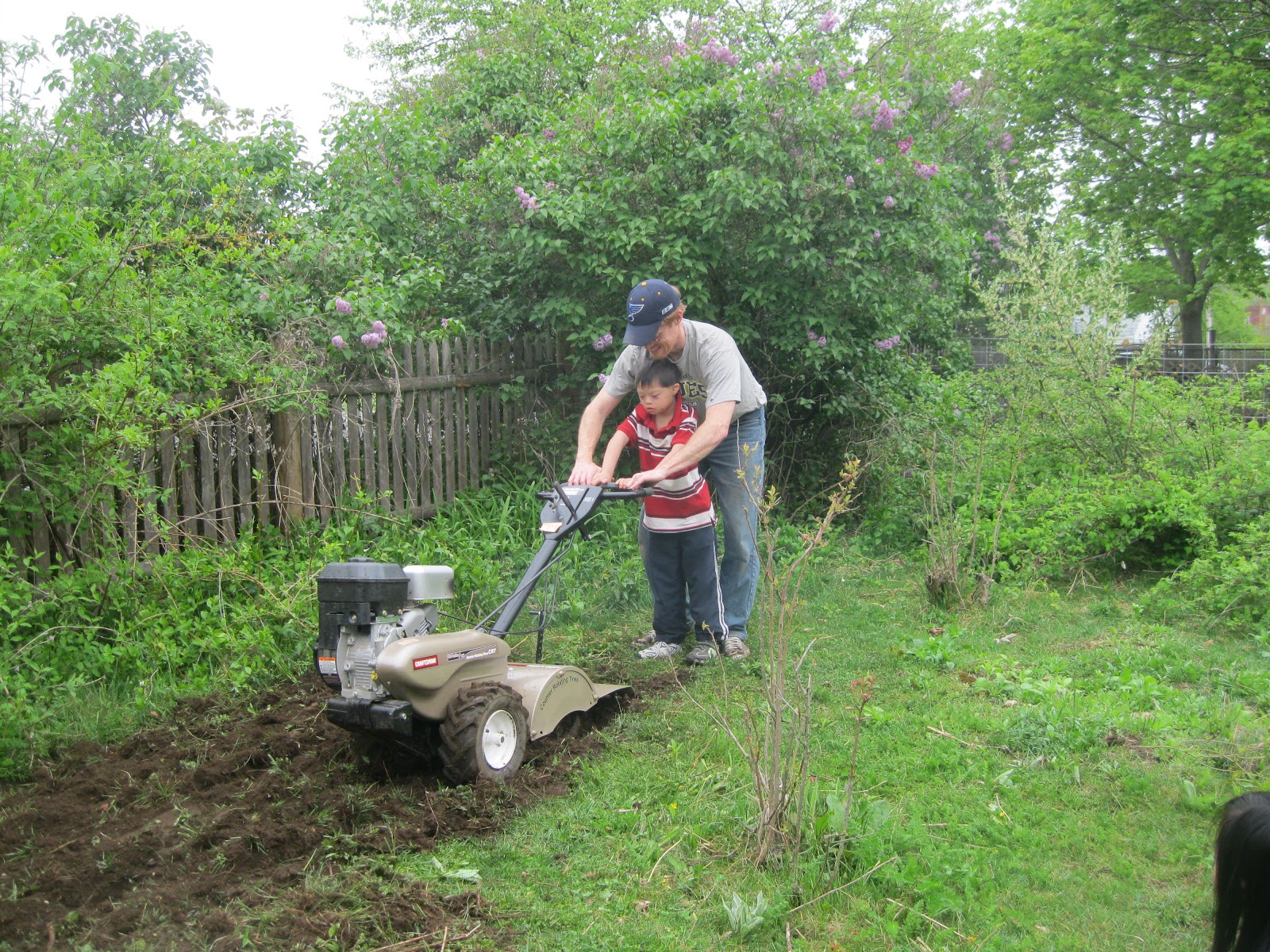 Tilling The Land