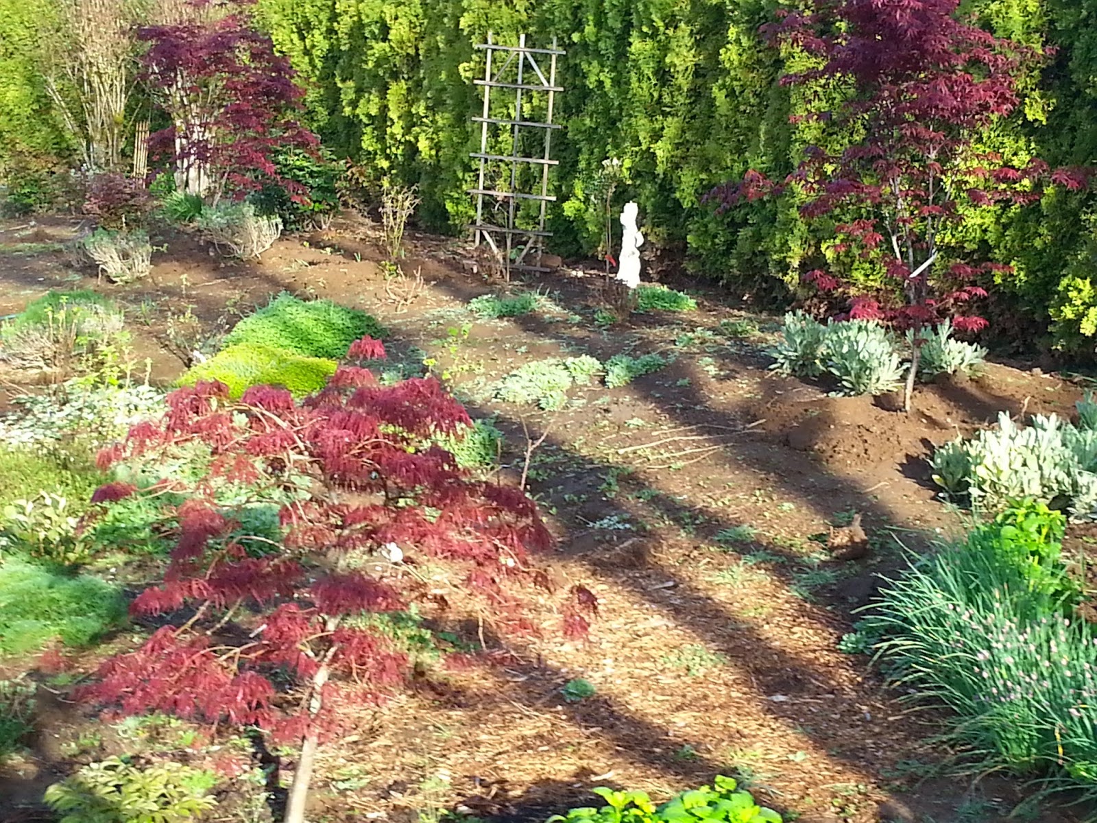 Leaning Star Winery: Blood Good in the Garden