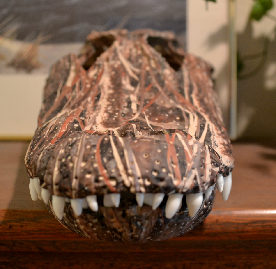 The Wild Life: Camo Dipped Alligator European Mount