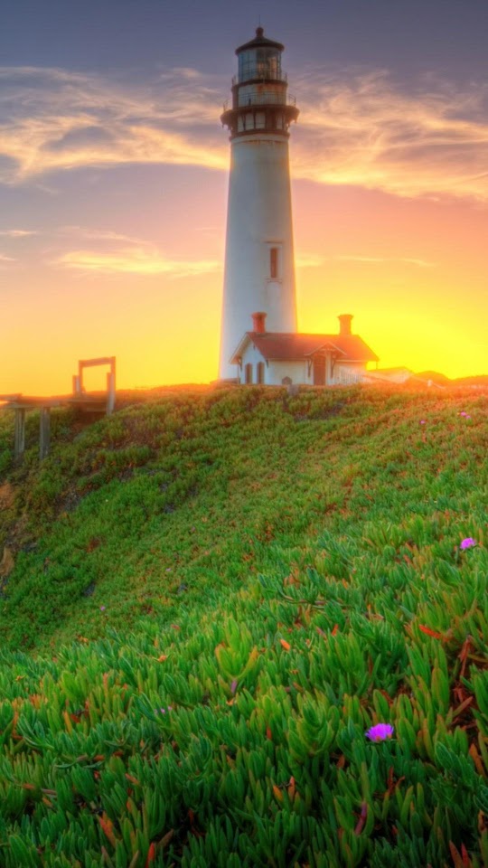 Lighthouse On Green Coast Android Wallpaper