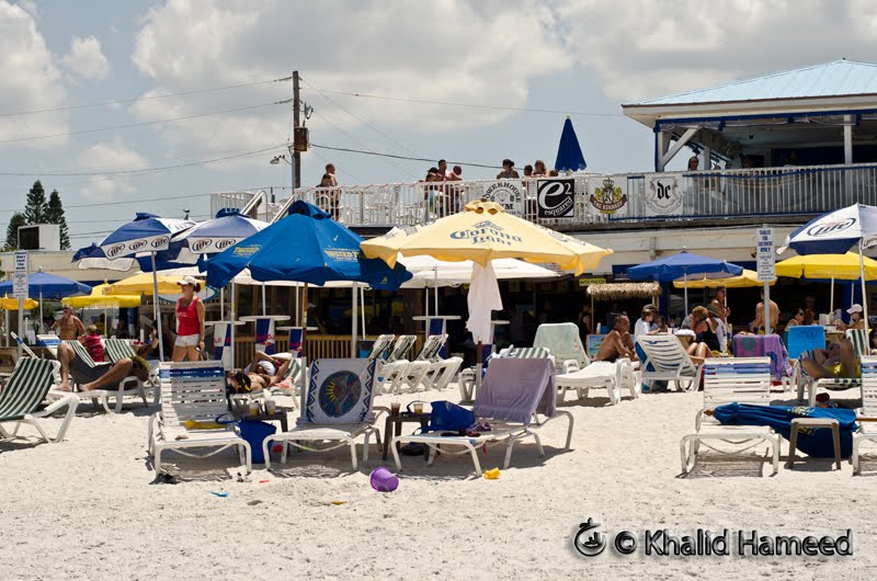 Scallywag Journeys Tampa Bay and Beyond Caddy's On The Beach
