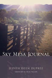 Sky Mesa Journal by Judith Deem Dupree