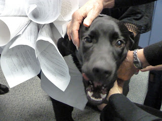 Coach mouthing off while we try and pin his costume to his coat. It was a little lopsided. Coach mouthing off while we try and pin his costume to his coat. It was a little lopsided.