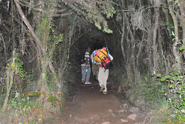 Marangu gate to Mandara hut