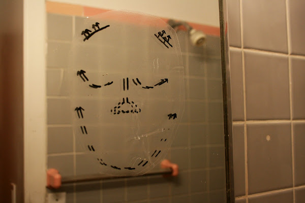 Facelift mirror sticker
