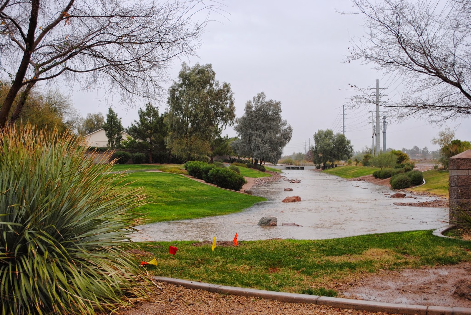 Heavy rains drain through the greenbelts in Phoenix