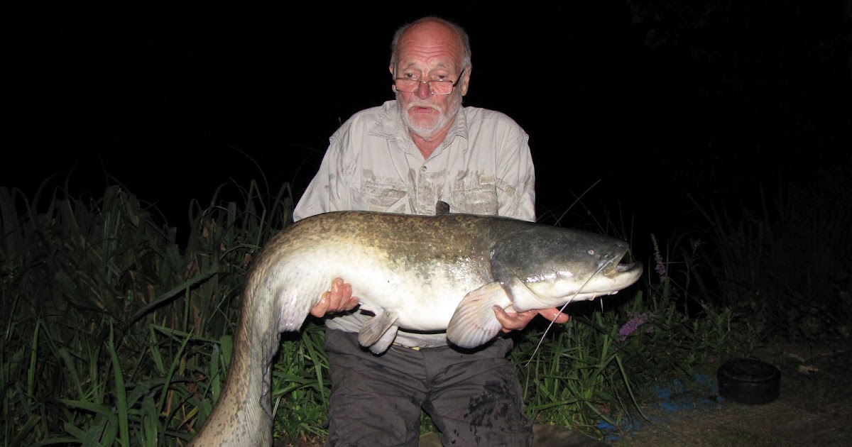 Travelling Man Catfish heaven.