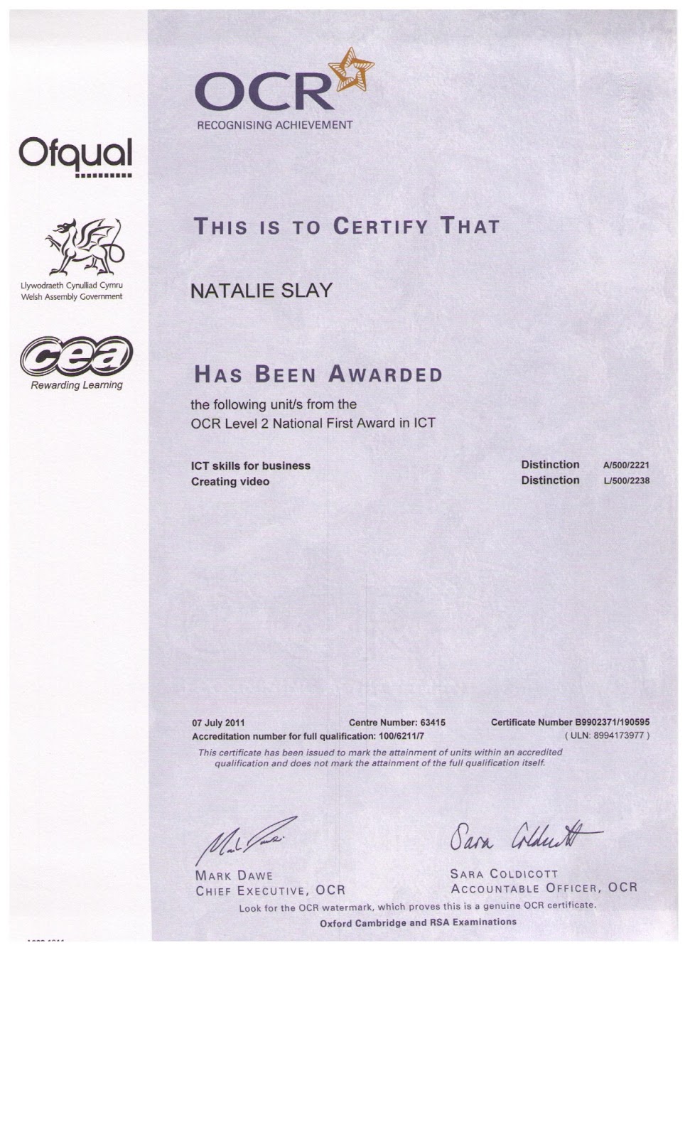 my curriculum vitae  gcse certificate  ict