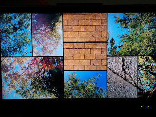 Fire TV Stickのスライドショー設定、モザイクでは複数の写真がパネル状に表示される