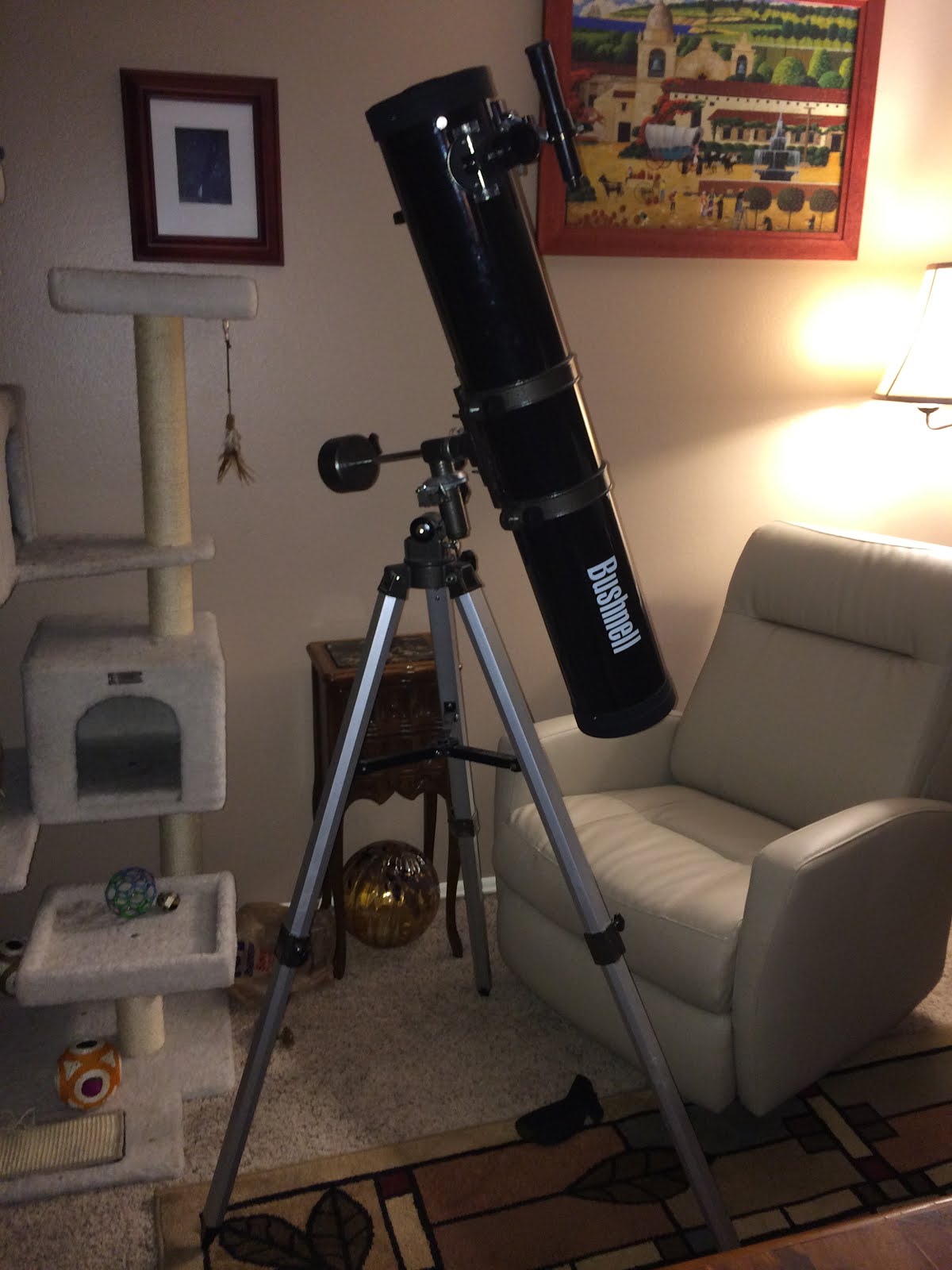 Bushnell Repair Photos