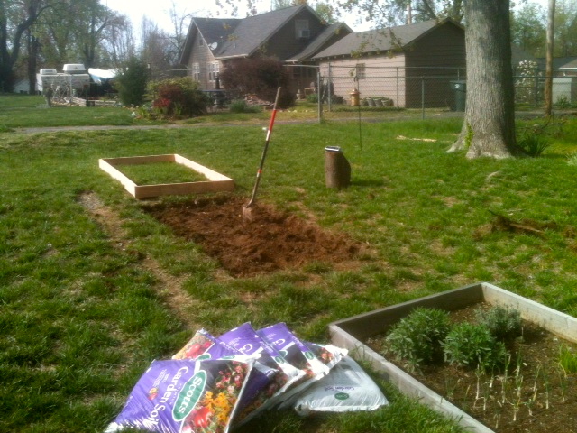 Limelight Musings: Guest Entry: Building Easy Garden Beds