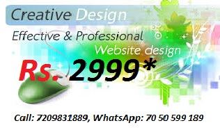Website Design Rs. 2999*