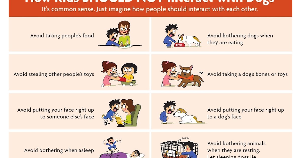 New Adopted Dog Care How kids should and should not interact with dogs.