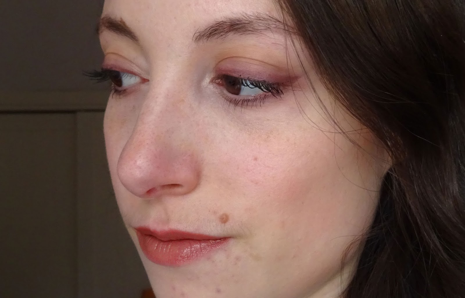 Naked Ultimate Basics Urban Decay La Palette Nude Parfaite Sandy S Beauty Diary