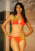 MISS MATO GROSSO LATINA 2010