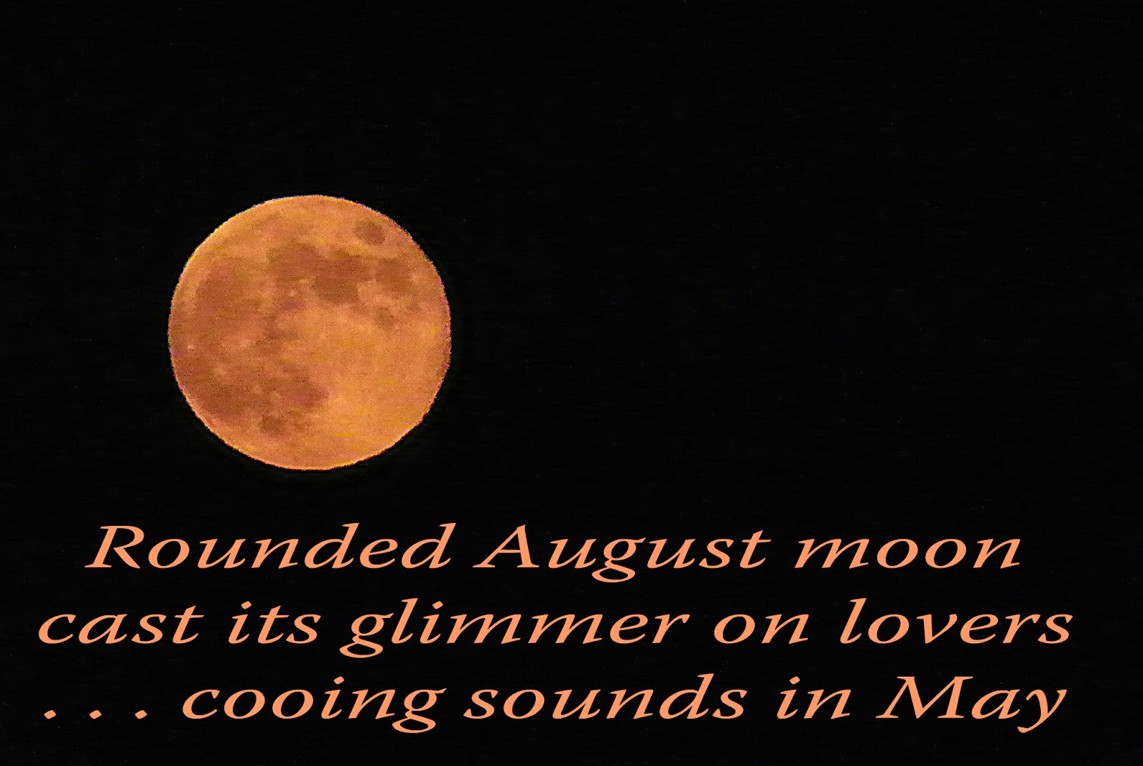 Sannel's World of Poetry: Full Moon - A haiga by Sannel