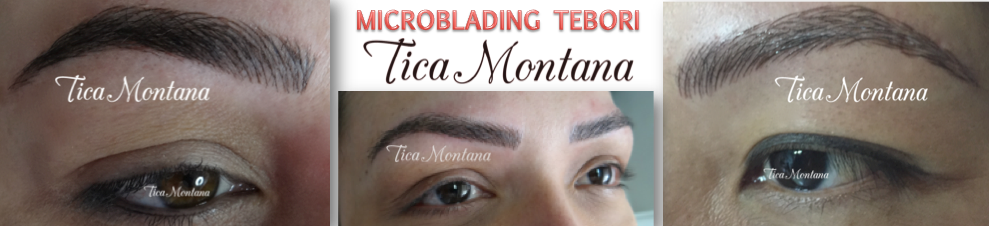 CURSO MICROBLADING TEBORI 